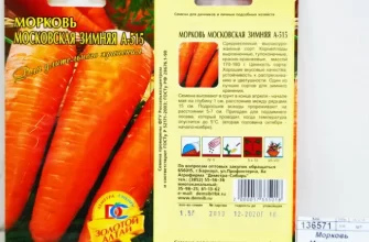 Морковь сорта Московская зимняя — особенности выращивания и ухода