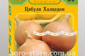 Семена лук-батуна Семена Украины "Пьеро" - отзывы