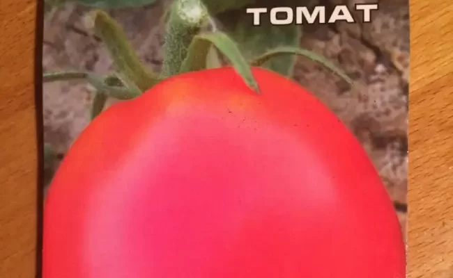 Томат «Земляк» - описание, выращивание