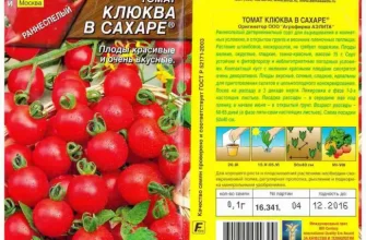 Описание лучших сортов томатов для Краснодарского края открытого грунта и теплиц