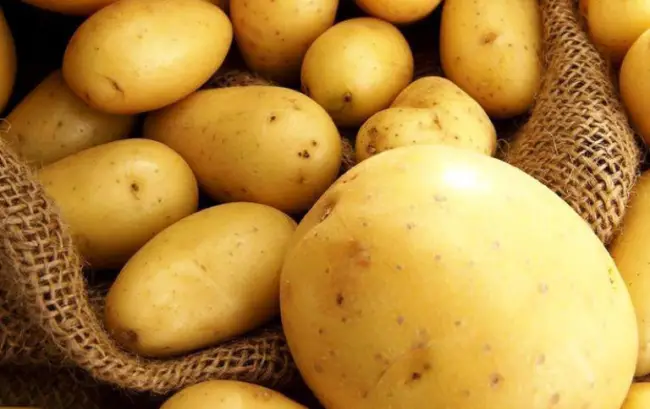 Сбор и хранение урожая картошки