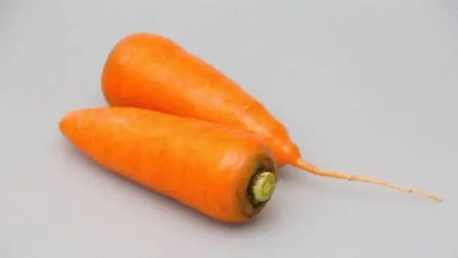 Чем опасна морковная муха