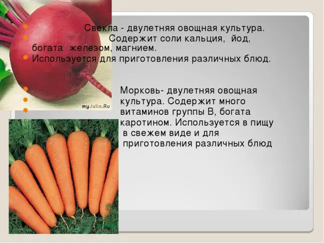 Посадка моркови 
