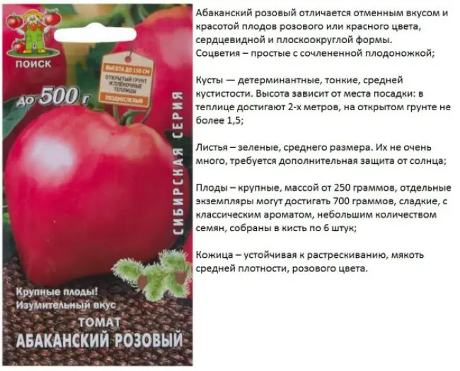 Посадка сортов томатов Абаканских