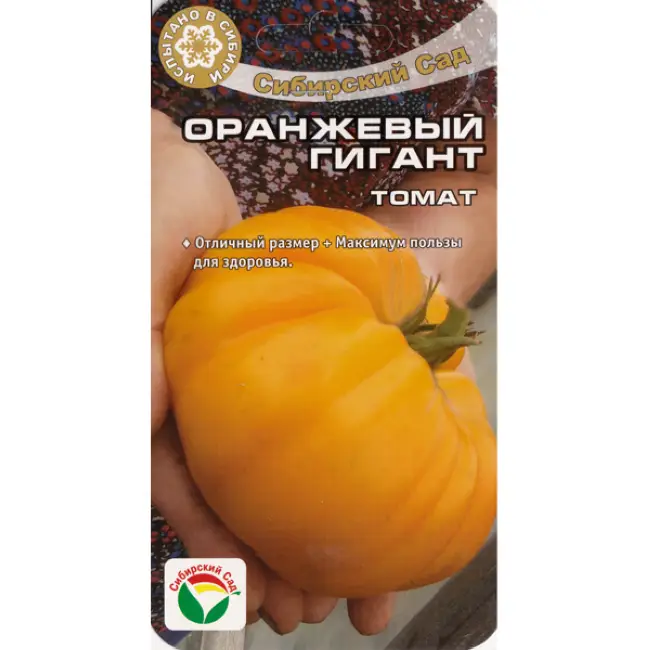 Общая характеристика сорта томата Оранжевый гигант