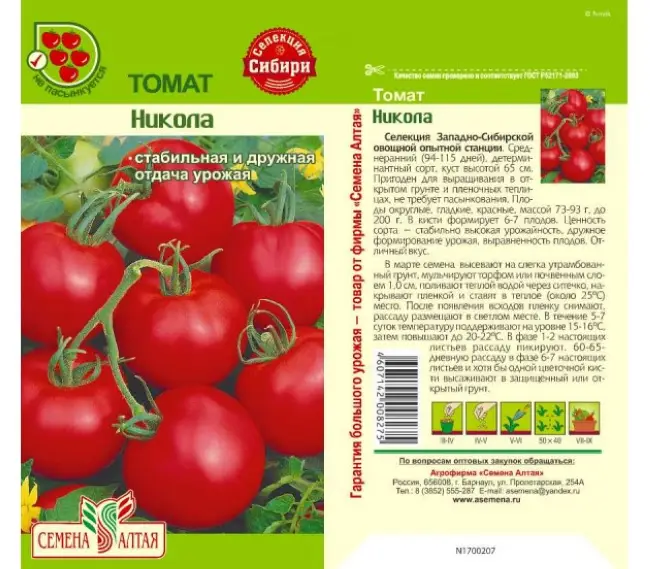 Описание помидоров Русский размер F1, отзывы, фото