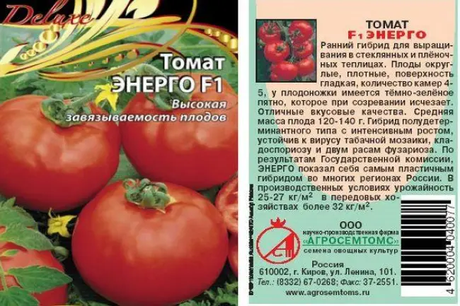 Особенности выращивания томатов Энерго, посадка и уход