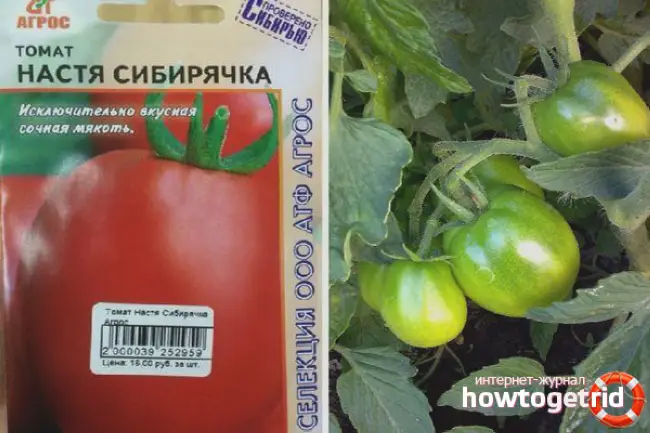 Описание сорта томатов Настенька и его характеристики
